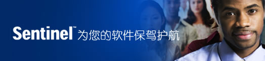 加密狗(锁)